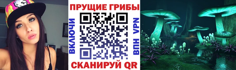hydra маркетплейс  Черноголовка  Псилоцибиновые грибы Cubensis 